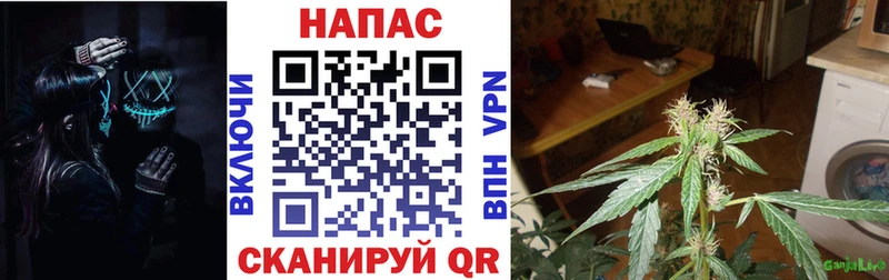 купить Каневская Каннабис планчик